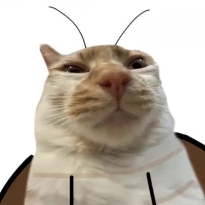 aiya666888's profile picture. 