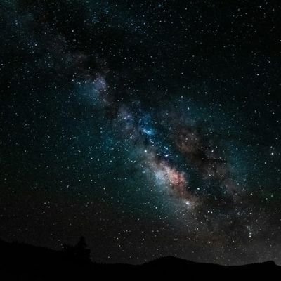 lang_1ang's profile picture. 20⬆️ 성인