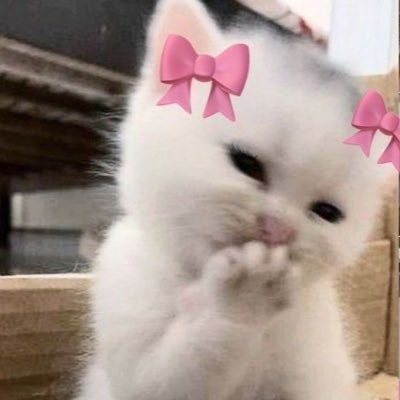 asd1577132's profile picture. きゆ-ひいどるっぶがすき