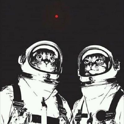 heartz777_'s profile picture. bis zum tod stay high