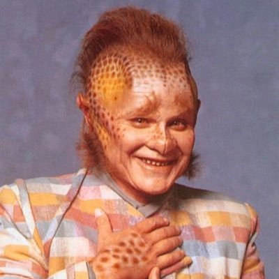 talaxian1995's profile picture. Welcome to a briefing with Neelix.