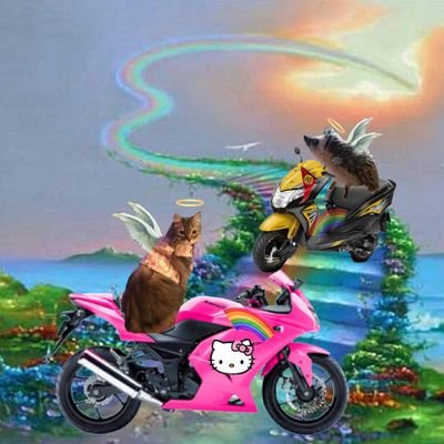Garry o Garritas, se me ve entrar siempre, soy un orgulloso mexicano en @TheRuffRiderz🇲🇽🛵, esposo de @brandy87899345, mis garritas son de terror 😜