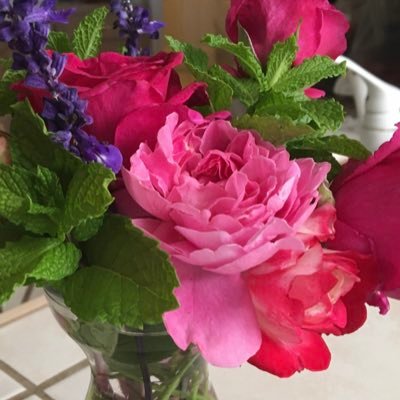 Mom25Rose's profile picture. Learning to savor the beauty of life and this beautiful universe.  🦋🌿🌹🥀🌝✨🐭