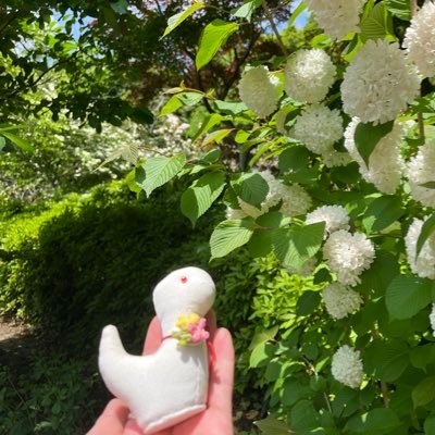『今日を精一杯楽しんで切に生きる』🌈indigo la End川谷絵音をこよなく愛する40代🌷『今日だけは怒るな心配すな感謝して業を励め人に親切に』靈氣遠隔ヒーリング🫶🏻ご依頼はDMでお待ちしております💝HSP💫元保育士👶れいわ新選組たがやサブマリンズ🐾みんないつもありがとう✨