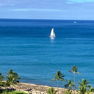 FNkPrL1GGX49843's profile picture. 