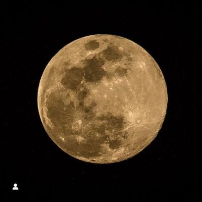 Machocalado86's profile picture. 