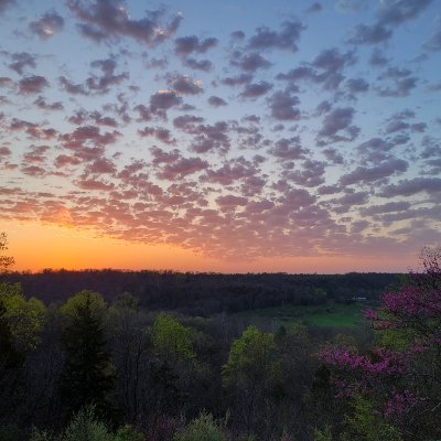 chadsbrown's profile picture. also: @n9unx@mastodon.radio