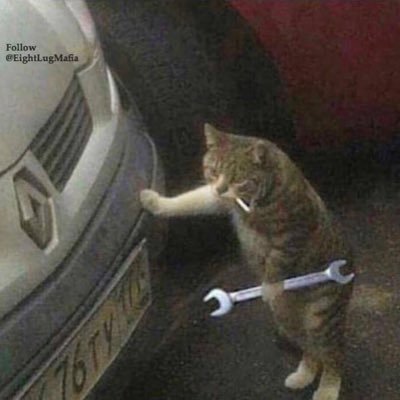 CounterTechMan's profile picture. lube tech apprentice