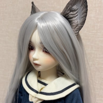 20↑(成人済み)のドール初心者🔰2025年1月に初の SDフルチョイス。写真撮るの下手くそです💦 ドール:*SDM・SDM-F-38*TinyFox・ティリー、モコイ*ブラインドドール・ペテルソン学園