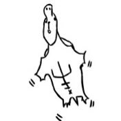 tefさんのプロフィール画像