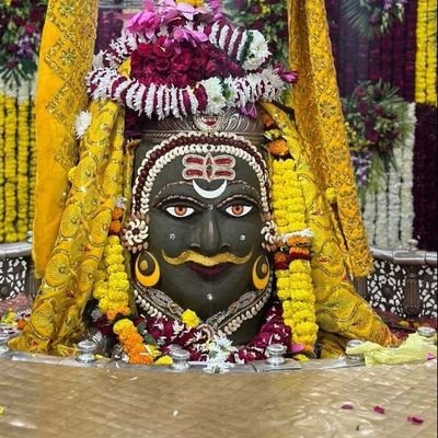 officialFalcon5's profile picture. Wrestling lover