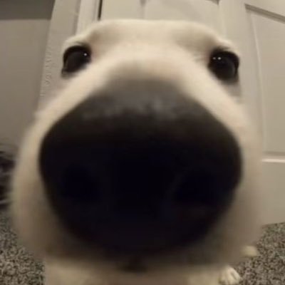 myuuu137's profile picture. 혼자서 수제트윗 써요