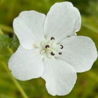 豆タヌキ (@b9uyftu) 's Twitter Profile