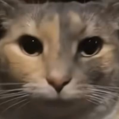 okさんのプロフィール画像
