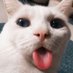 eliharndro (@eshener) Twitter profile photo eliharndro (@eshener) Twitter profile photo