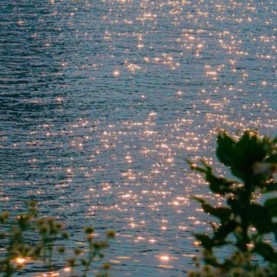 Samiaaosaimi's profile picture. 