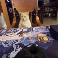 another jose game (@destructodsk) 's Twitter Profile Photo