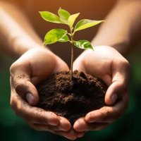 Microbes Thrive (@microbesthrive) 's Twitter Profile