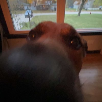 s1lverNA's profile picture. i love couner stike
https://t.co/JCdMNoOJKQ