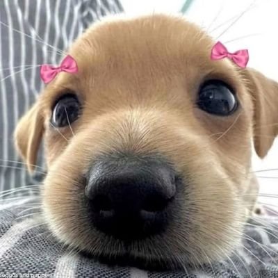 obsedian17's profile picture. 