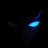 Ce◎ avatar