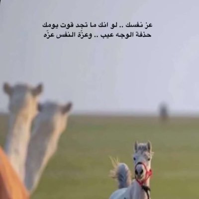 ياخذني من قمة عتابي .. بـ ضحكة حتى خطاه اتساهله ، لا ضحك لي