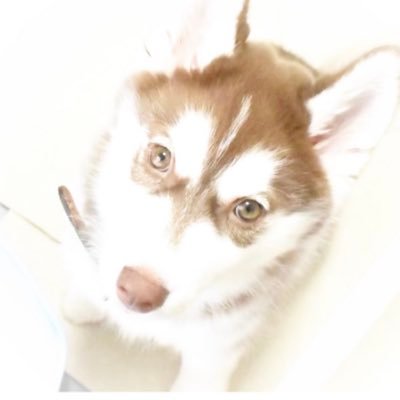 BeNYMf0cML66015's profile picture. 2024.1.20🐣／女の子♀