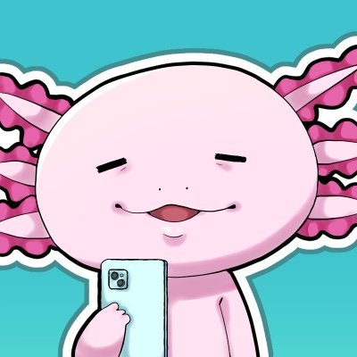 YMK(Yumeka)さんのプロフィール画像