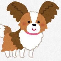pipi (@pipi199504) 's Twitter Profile