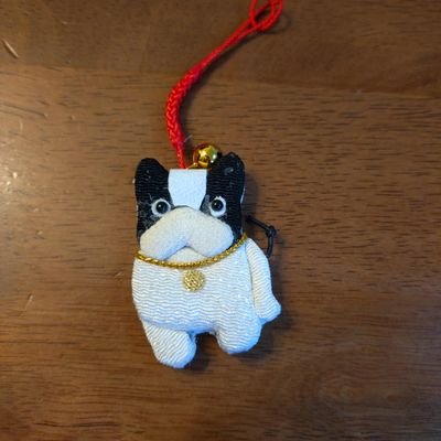 坂口健太郎さんとちいかわとヌン活を楽しむ(*^^*) info.s会員です。
趣味は喫茶店巡りです。
スパイファミリー、薬屋のひとりごと、フリーレン、ちはやふる、、アニメ大好きです。よろしくお願いします(*'ω'*)