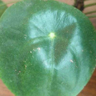 K_M_J_M's profile picture. Obsessed with travelling the 🌍. Passionate about #mentalhealth awareness and preventing #foodwaste.