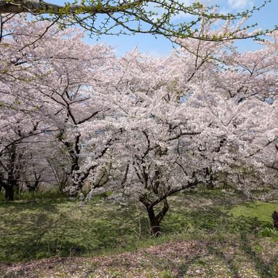 よろしくお願いします
山形