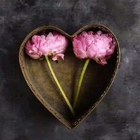 prashant sharma (@prashan21194) 's Twitter Profile Photo prashant sharma (@prashan21194) 's Twitter Profile Photo