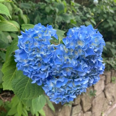 not整形垢/20代女 顎変保険治療 下顎前突 抜歯矯正 無言フォローします マロ→ https://t.co/S2FsfdCr5E ほぼ日常垢関係ない呟き多め
