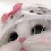 ˆᓀ⌯ᓂˆ (@kia77524922) Twitter profile photo ˆᓀ⌯ᓂˆ (@kia77524922) Twitter profile photo