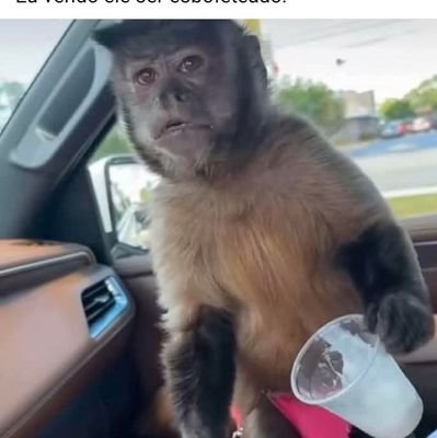 MajoJoseph85's profile picture. 