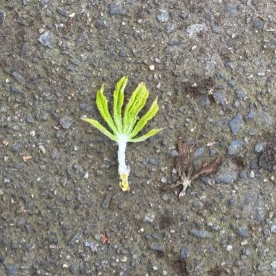 LoiObedoza's profile picture. Happy and contented with 🦋