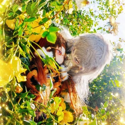 米茶ᙏ̤̫͚さんのプロフィール画像
