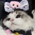 KURO (@kurocat0007) Twitter profile photo KURO (@kurocat0007) Twitter profile photo