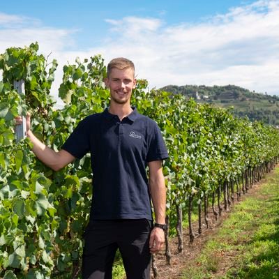 Winemaker🍷 at our family-run boutique winery @drius.wine . Love good food, music & mountain. -Labels on bottles, not people or ideas-