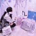 ののうさ🐇 (@nosholove3) Twitter profile photo ののうさ🐇 (@nosholove3) Twitter profile photo
