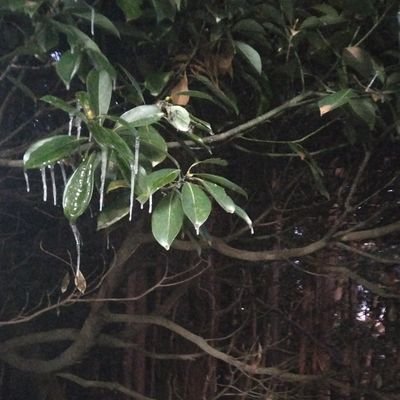 17___lio's profile picture. ‐‐‐‐‐‐‐‐‐‐‐‐‐‐‐‐フォロー不要です🙆‍♀️