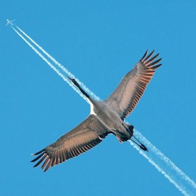 PetrA510663's profile picture. Угол падения равен углу отражения😎