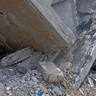 MahShawysh72969's profile picture. I am Maher from Gaza 
🍉🍉🇵🇸🇵🇸🇵🇸
https://t.co/EJNZ9DEvj0