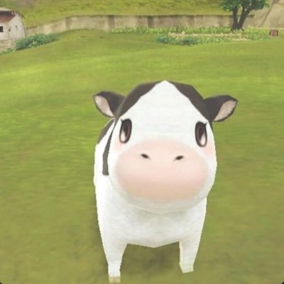 zbutchersshopig's profile picture. 