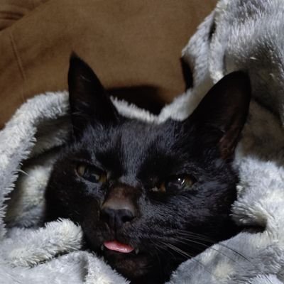 ちぃ (@chikareo84) / Posts / X