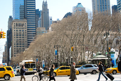 RF223's profile picture. 