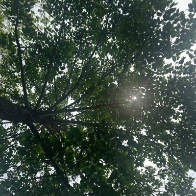 ACP Delhi Police | DANIPS 2018| NLSIU Bangalore | Ex Cyril Amarchand | Zoophilist | Married to Olive Green I Hyderabadi |Tweets/likes represent personal views.