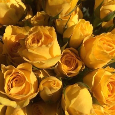 المغادرة الصامته هي الرد العظيم لكل من استهان بطيبة قلوبنا '