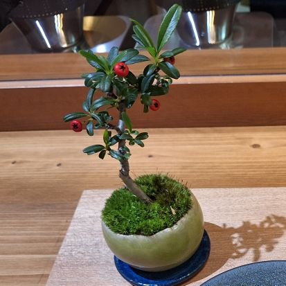 Mta6vuMVcY7pvfD's profile picture. 